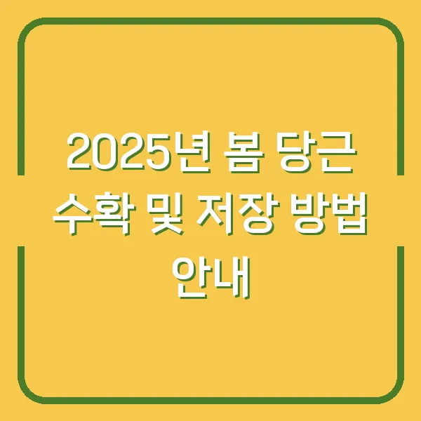 2025년 봄 당근 수확 및 저장 방법 안내