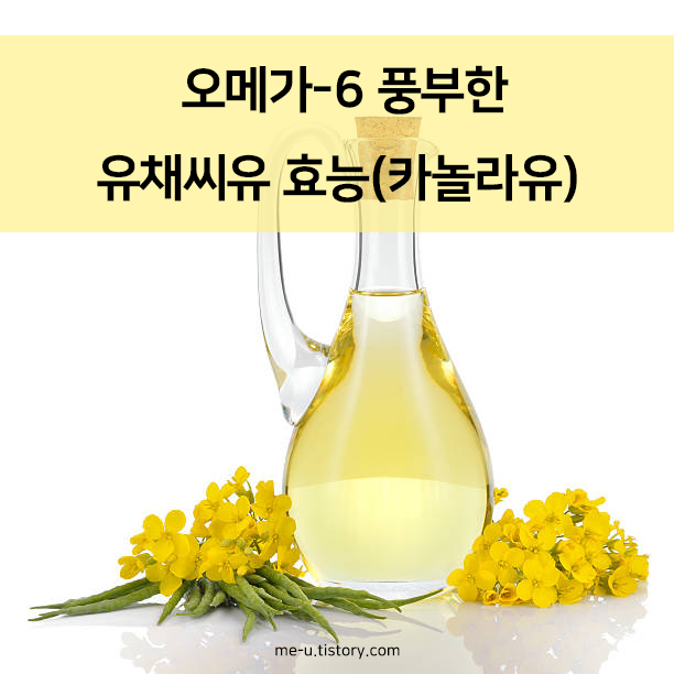 오메가-6 풍부한 유채씨유 효능(카놀라유)