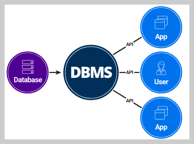 DBMS 역할