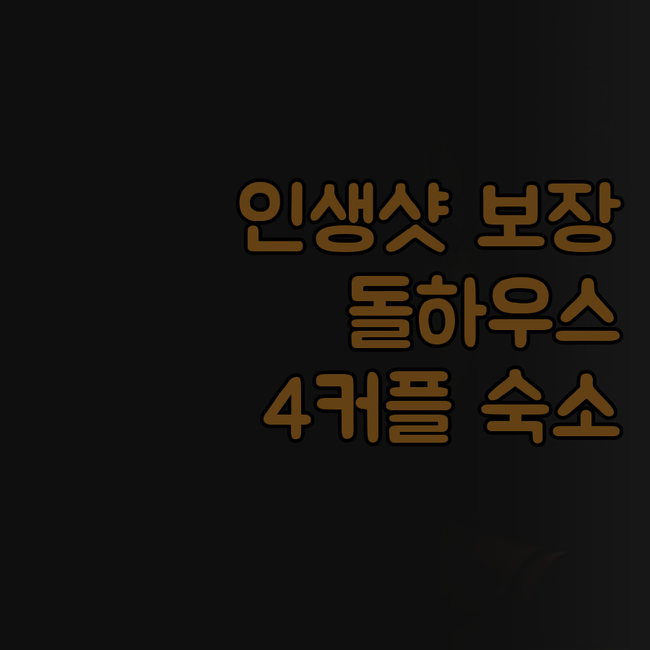 비엔나 크리스마스 마켓 숙소, 돌하우