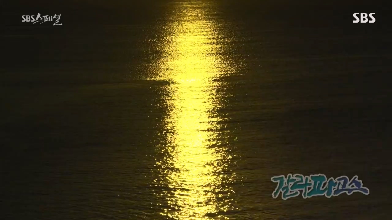 일요특선 다큐멘터리.E325.230724p-NEXT.mp4_20230726_213059.123.jpg