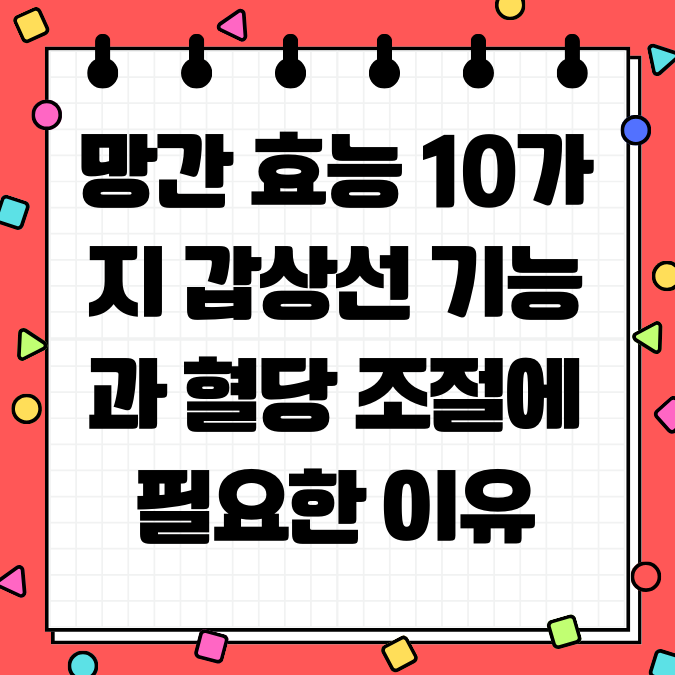망간 효능 10가지 갑상선 기능과 혈당 조절에 필요한 이유
