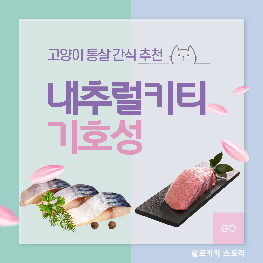  [고양이 간식 추천] 내추럴키티 스팀 참치 vs 고등어 기호성 테스트