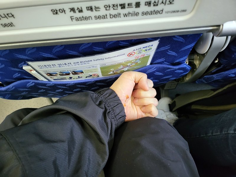 에어부산_좌석_어른