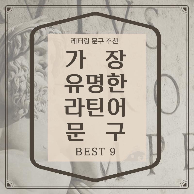 레터링 타투를 위한 가장 유명한 라틴어 문구 9가지