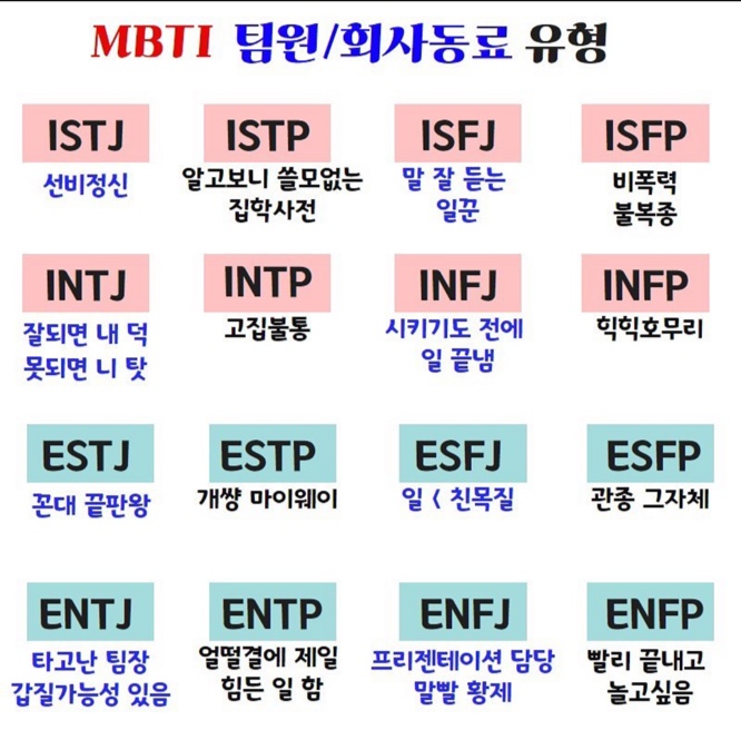  MBTI-팀원/화사동료 유형