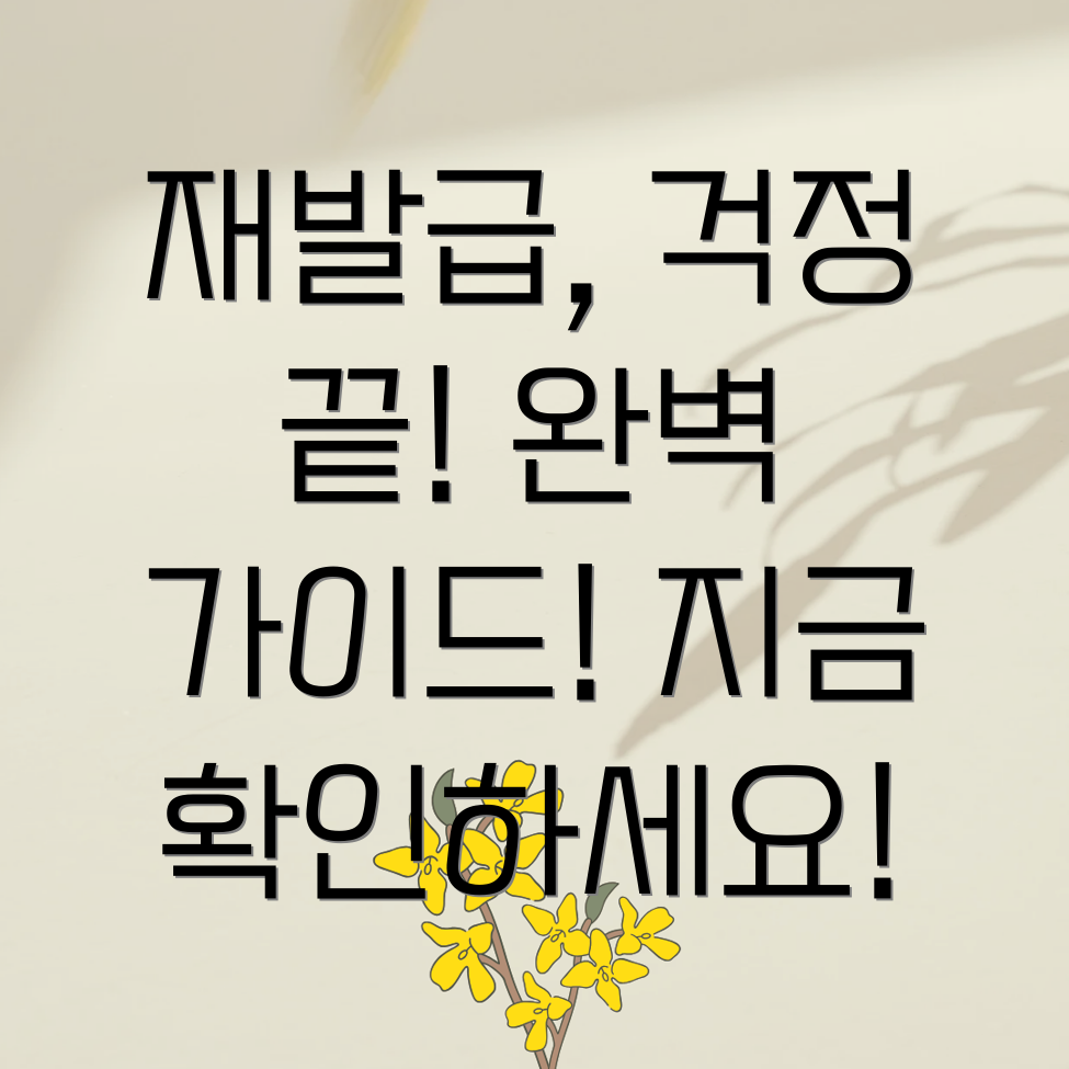 자격증 재발급