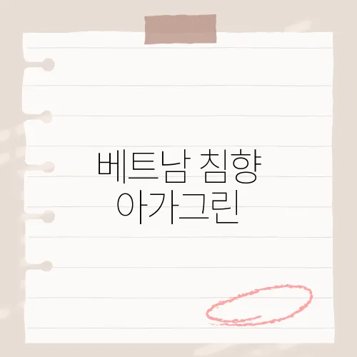 베트남 침향 아가그린, 진품 여부 놓치면 손해?