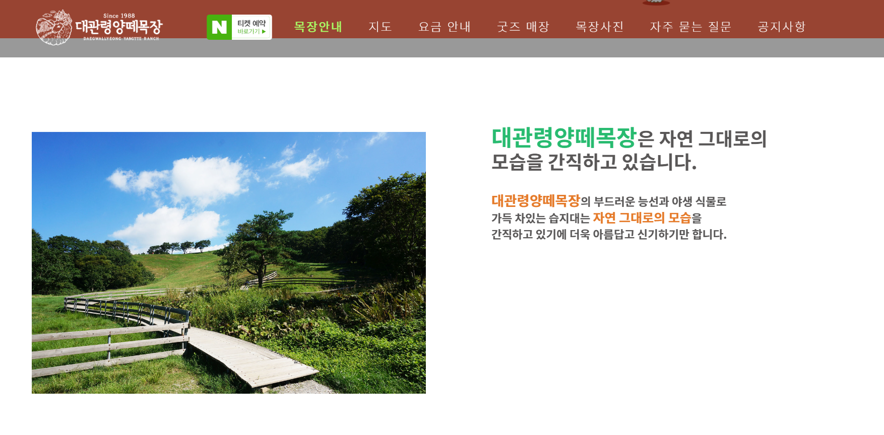 설날 국내여행 베스트 6 - 대관령양떼목장