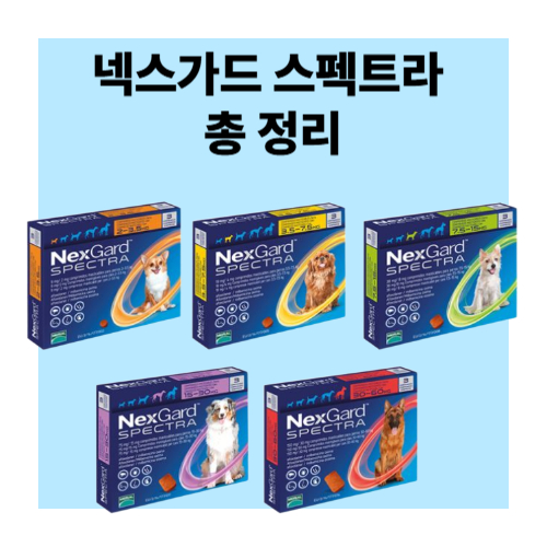 넥스가드-스펙트라-효과-급여방법-예방질병-총-정리