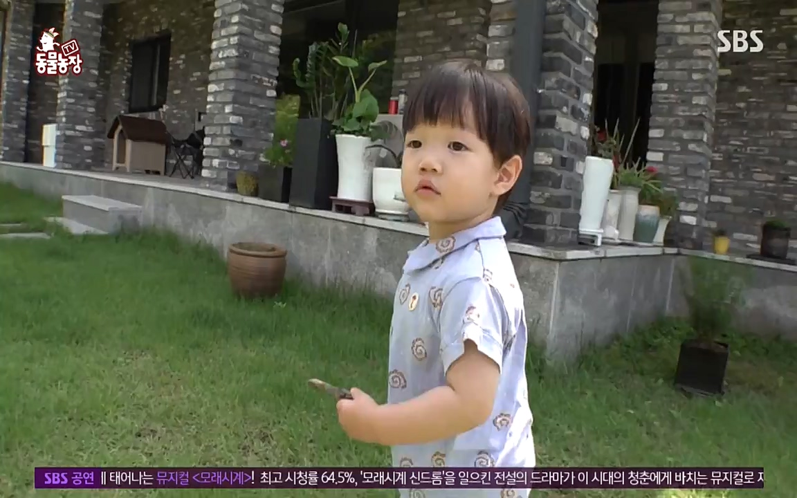 TV 동물농장.E1080.220732p-NEXT.mp4_20220731_174237.119.jpg