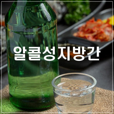 알콜성지방간