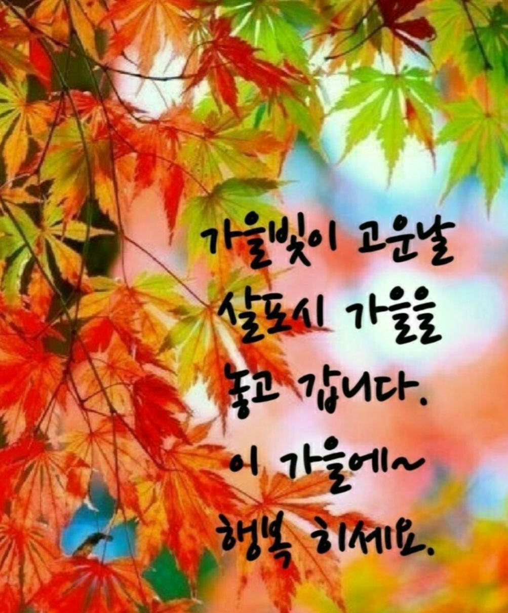 뚝딱정보 :: ★ 기분 좋은사람