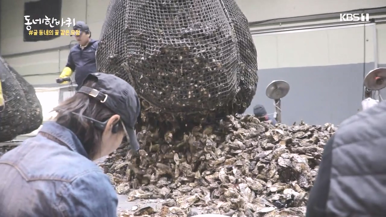 동네 한 바퀴.E243.231015p-NEXT.mp4_20231015_180300.226.jpg