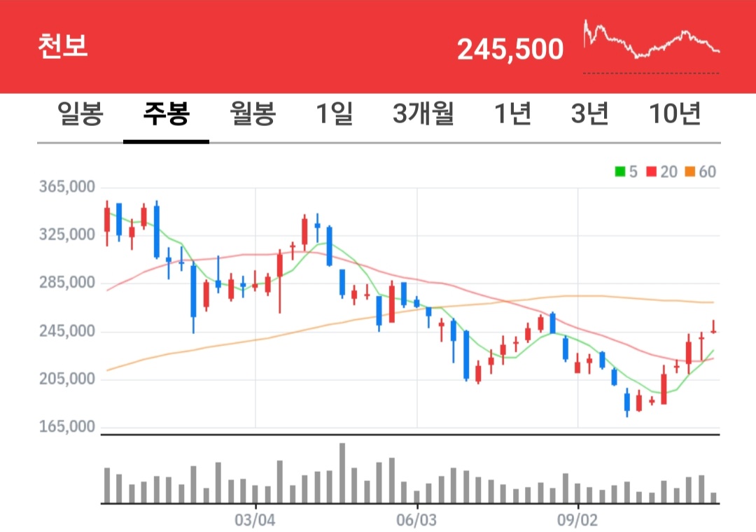 천보 주식 차트