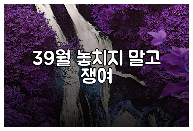 39월 놓치지 말고 쟁여