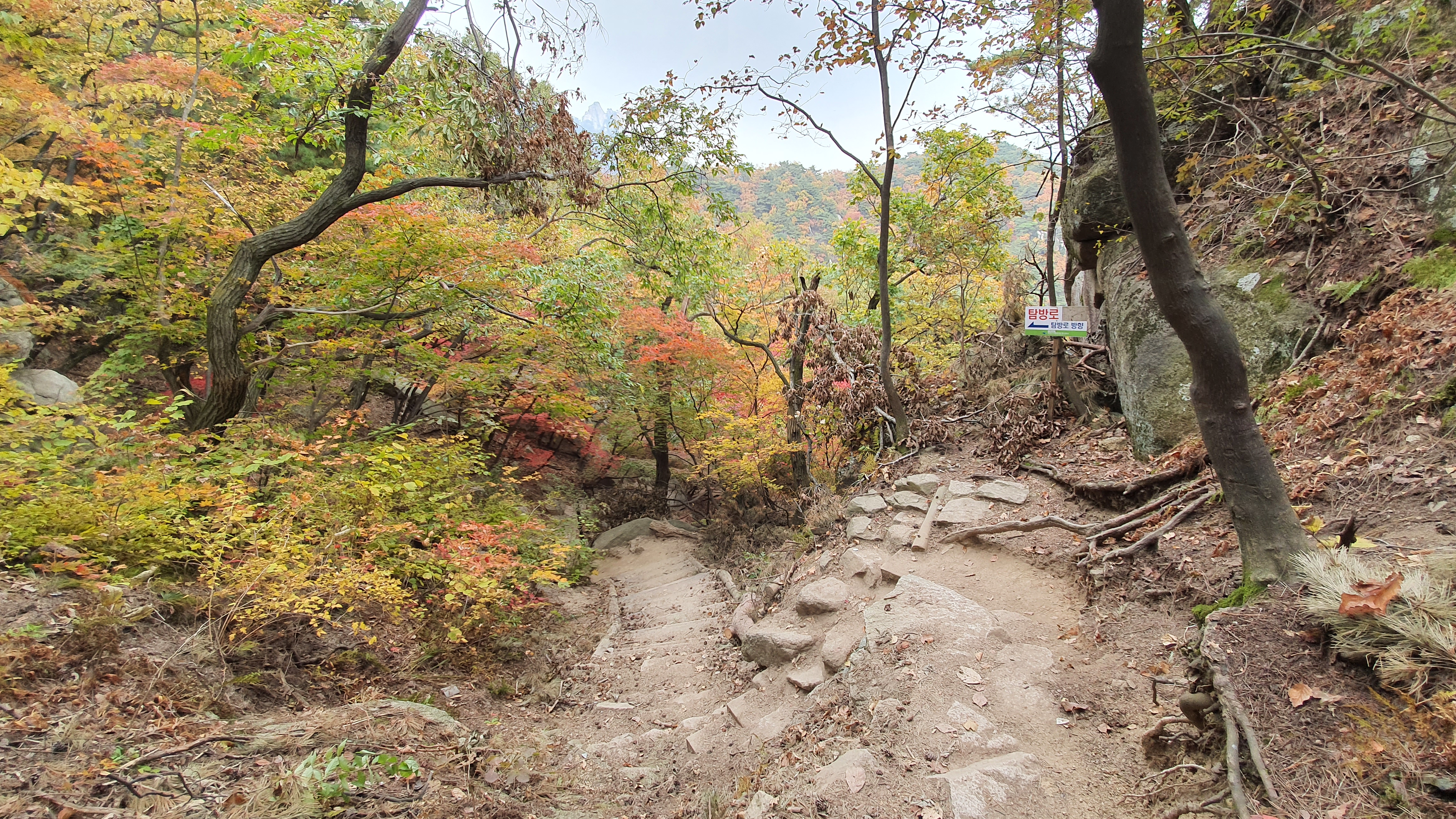 북한산 (2020-10-21) 51