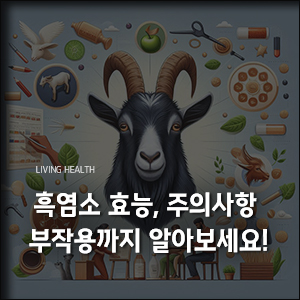 흑염소-효능-부작용