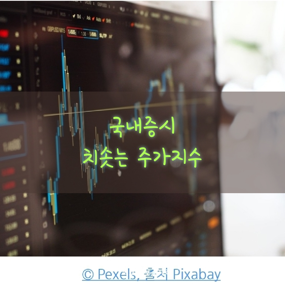  국내증시 치솟는 주가지수, 주식이 알고 싶다.