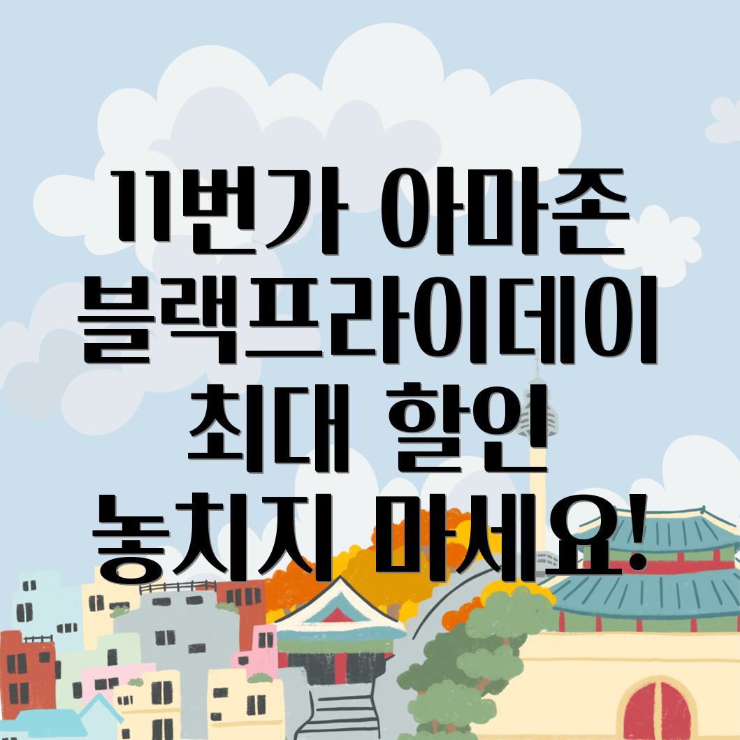 블랙프라이데이 직구