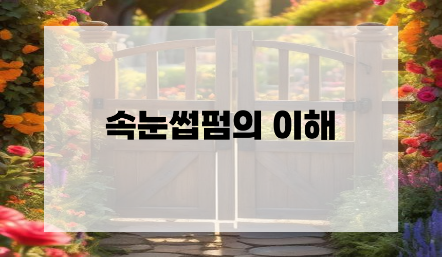 속눈썹펌의 이해