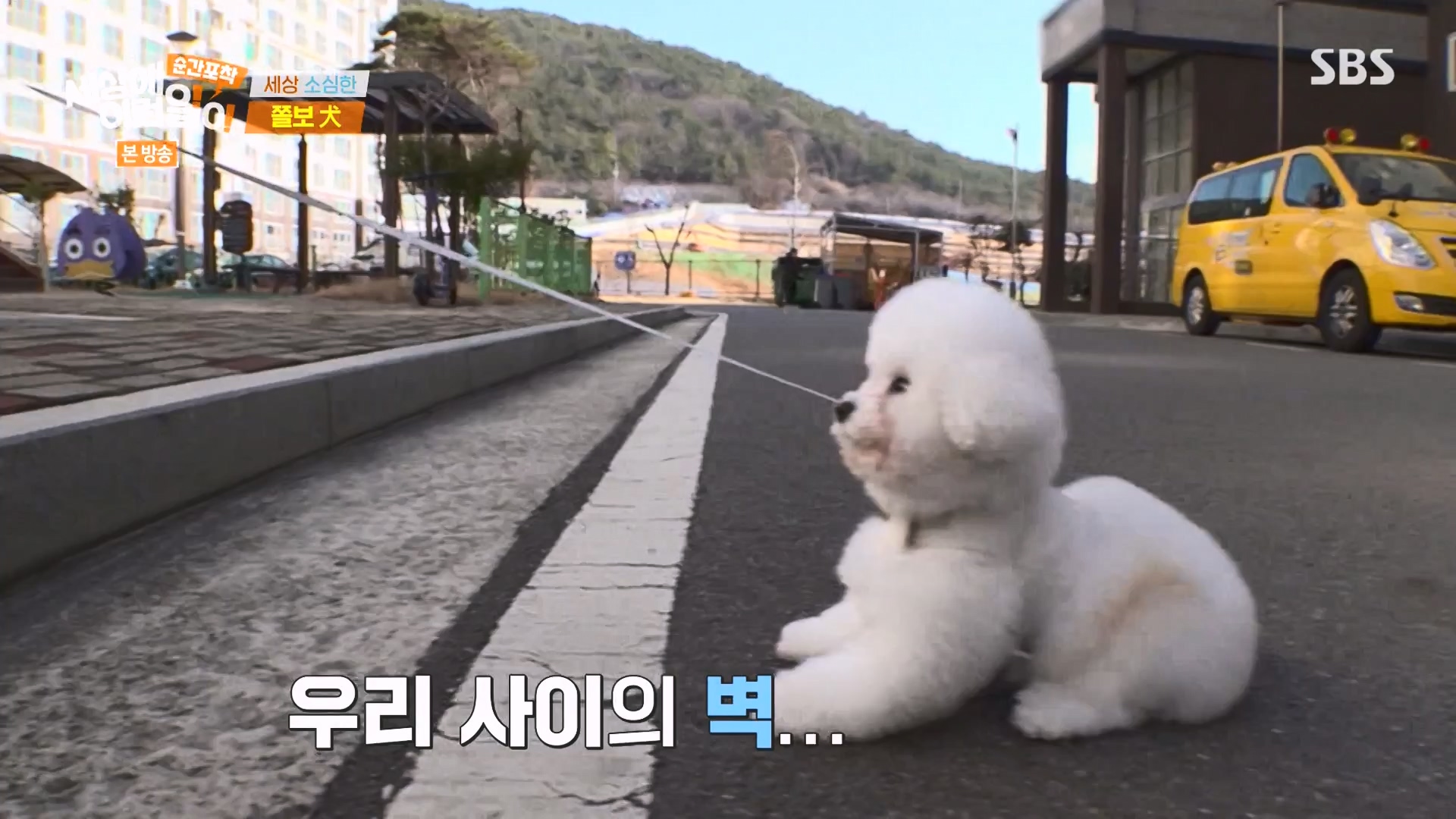순간포착 세상에 이런일이.E1263.240203p-NEXT.mp4_20240204_164016.162.jpg