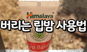  유통기한 지난 립밤사용기한과 활용하는 방법