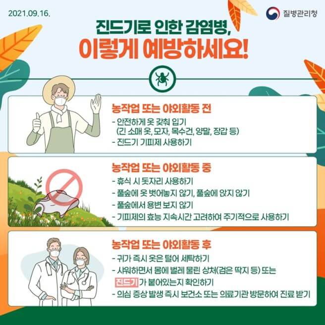 쯔쯔가무시 증상