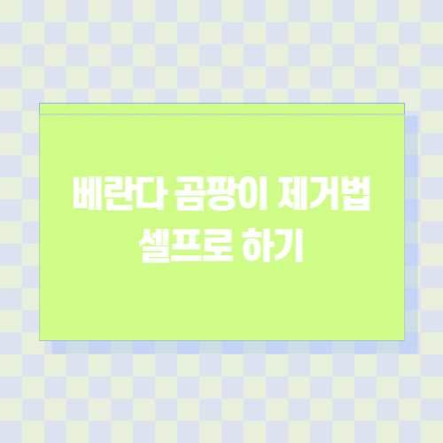 베란다-곰팡이-제거법