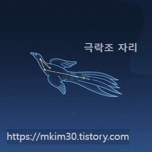  별자리 이야기 - (3) 극락조자리 (Apus)