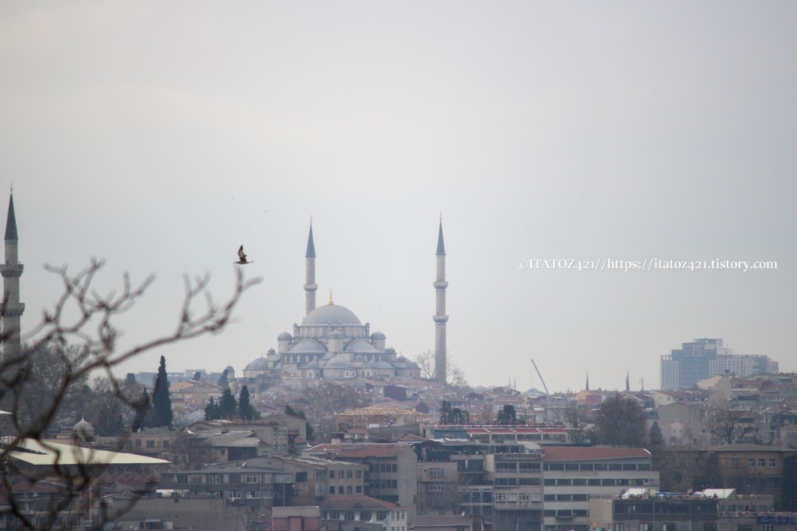이스탄불 모스크 자미