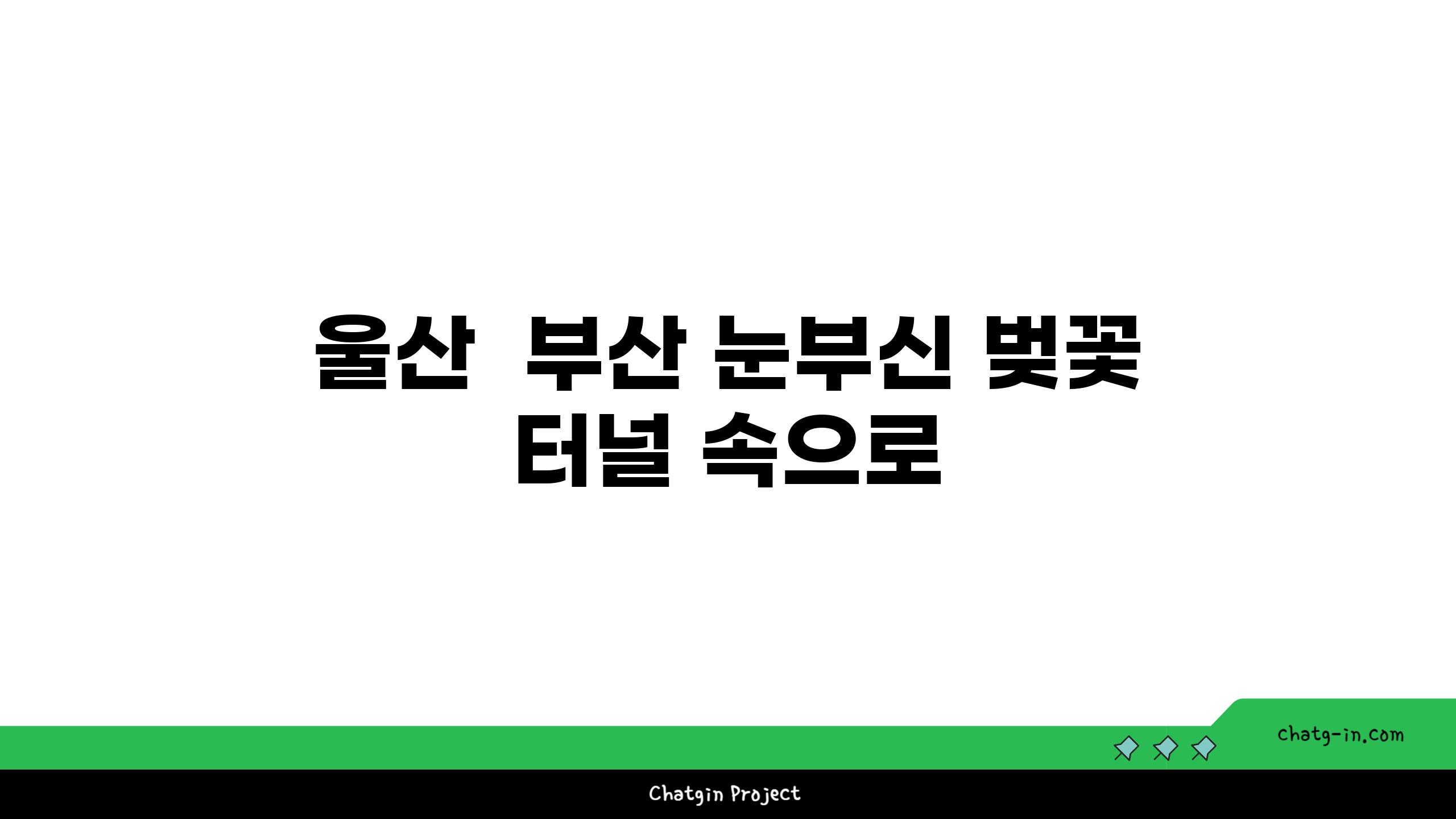 울산  부산 눈부신 벚꽃 터널 속으로