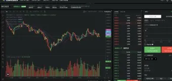 nv_코인 거래소 순위_24