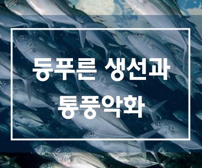  등푸른 생선과 통풍악화의 관계
