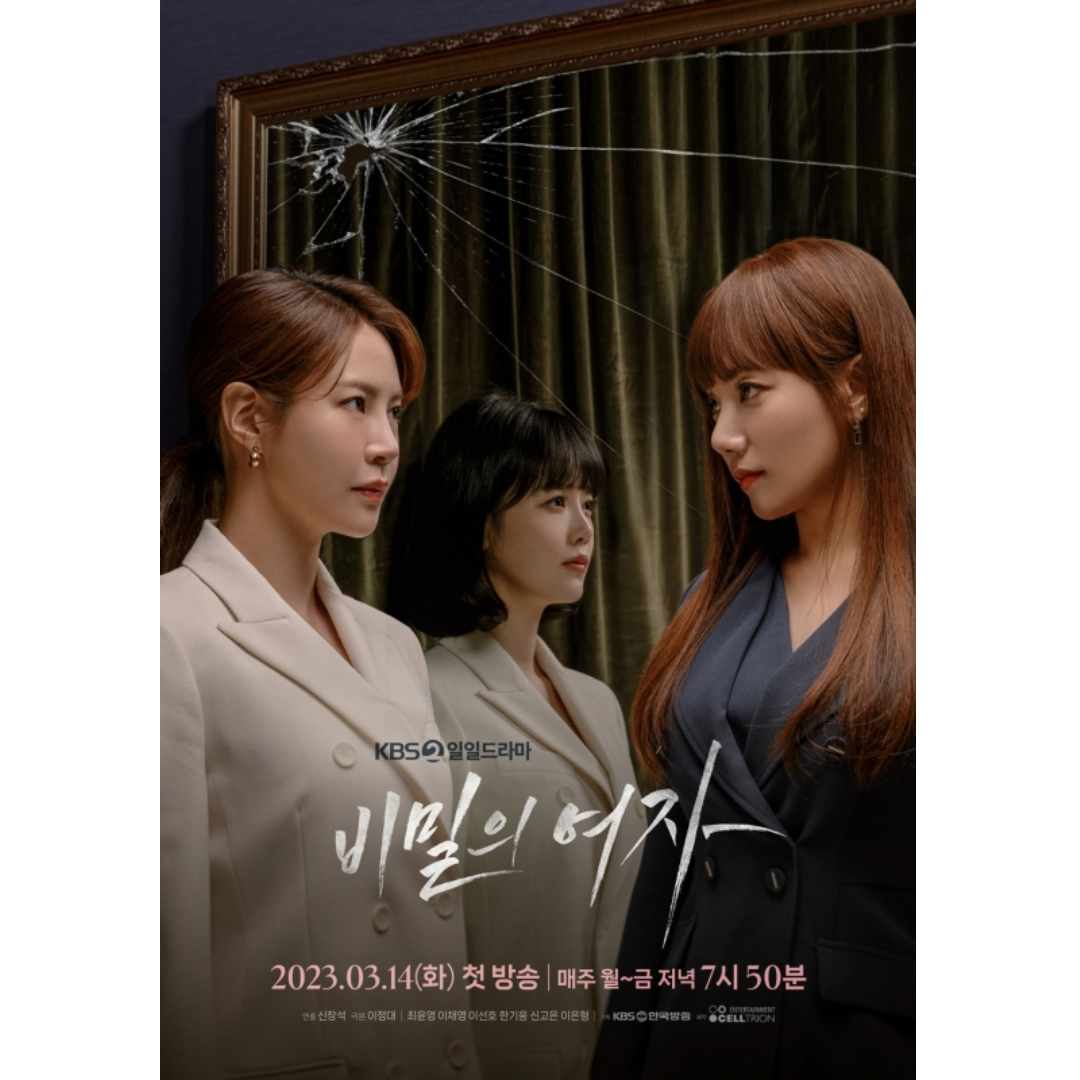 비밀의 여자 포스터