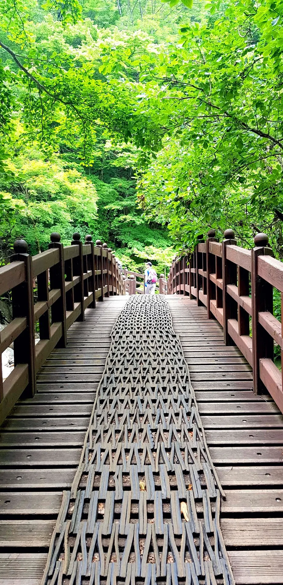 지리산 칠선계곡 계곡치기