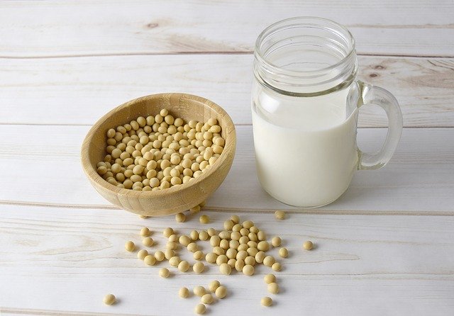 콩과 우유 사진
