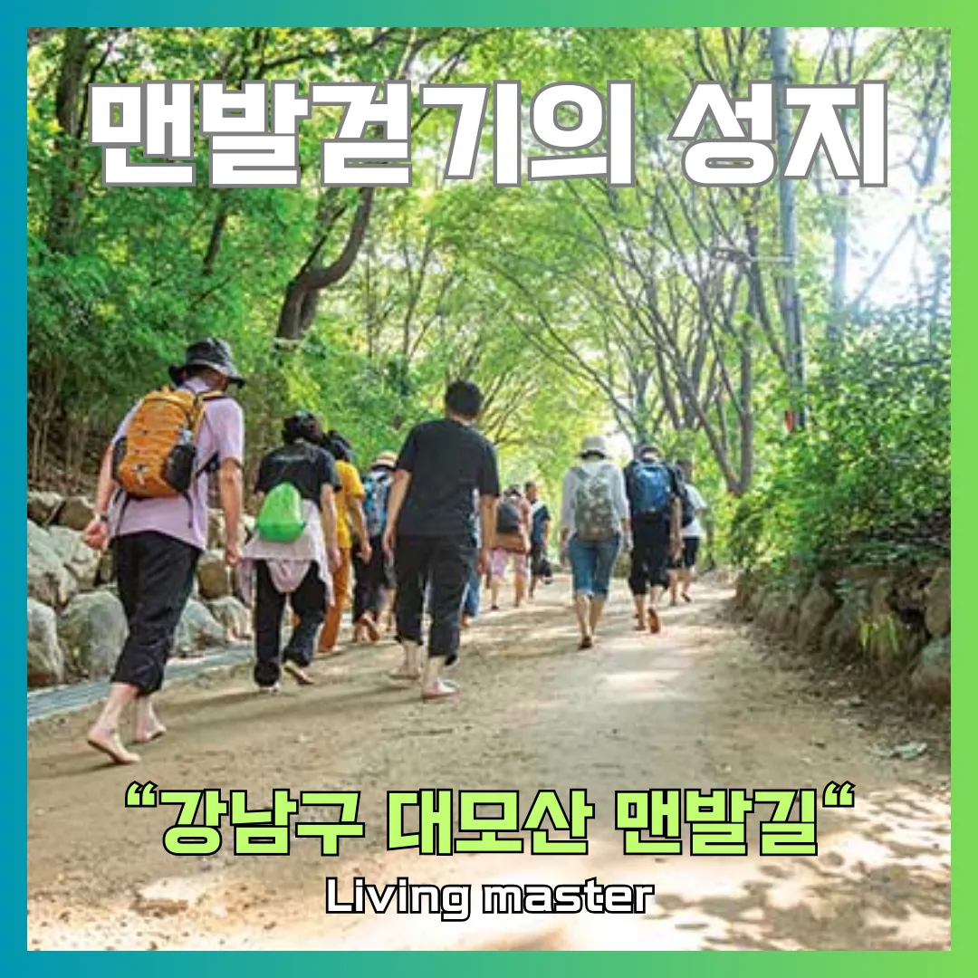 강남구 대모산 맨발길을 소개합니다.