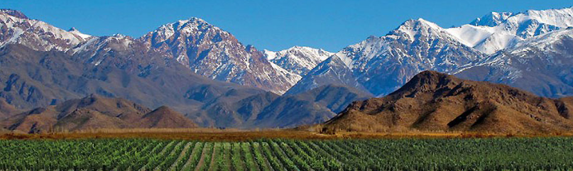 Mendoza Wine Country