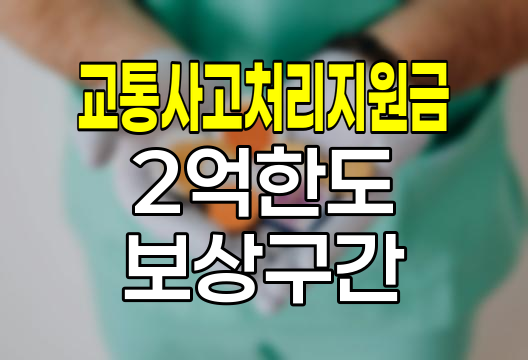 교통사고처리지원금 2억 한도 보상구간 상세 분석