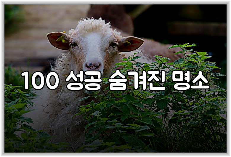 100 성공 숨겨진 명소