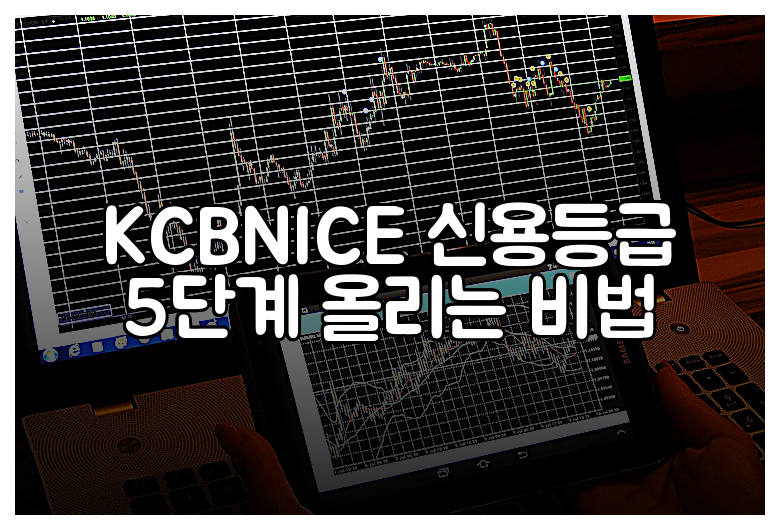 KCBNICE 신용등급 5단계 올리는 비법