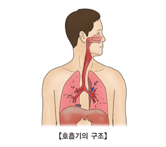  상기도 감염 원인 증상 치료 주의사항