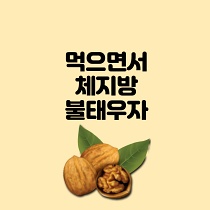  체지방을 태워주는 음식 종류