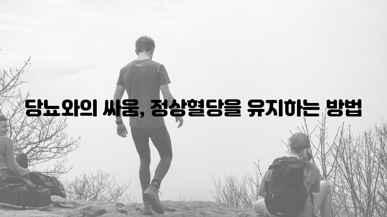 당뇨&#44; 싸움&#44; 정상혈당.