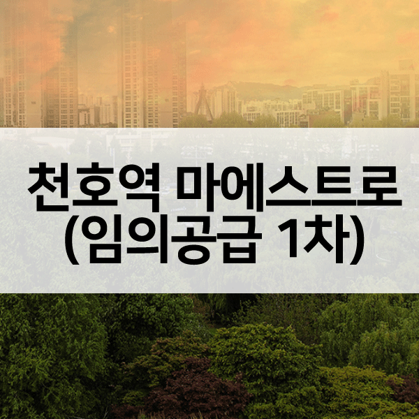 천호역마에스트로임의공급1차-1