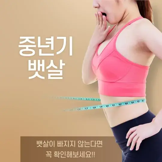중년기 뱃살