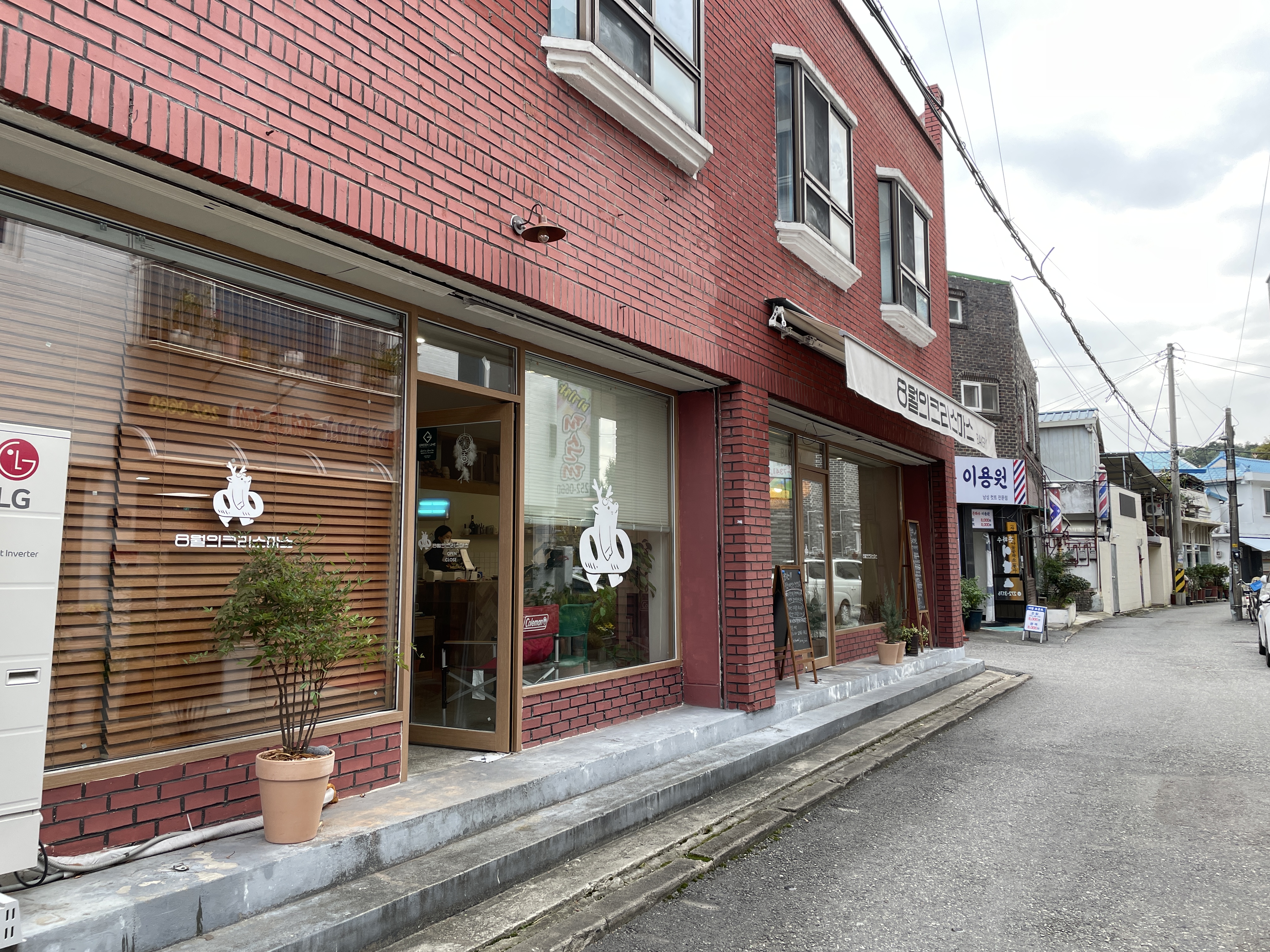  [전주 완산구] 8월의 크리스마스 태평점 인생빵집 꼭 먹어봐야할 빵 추천 !! 수제팥통밀깜빠뉴, 찰보리식빵