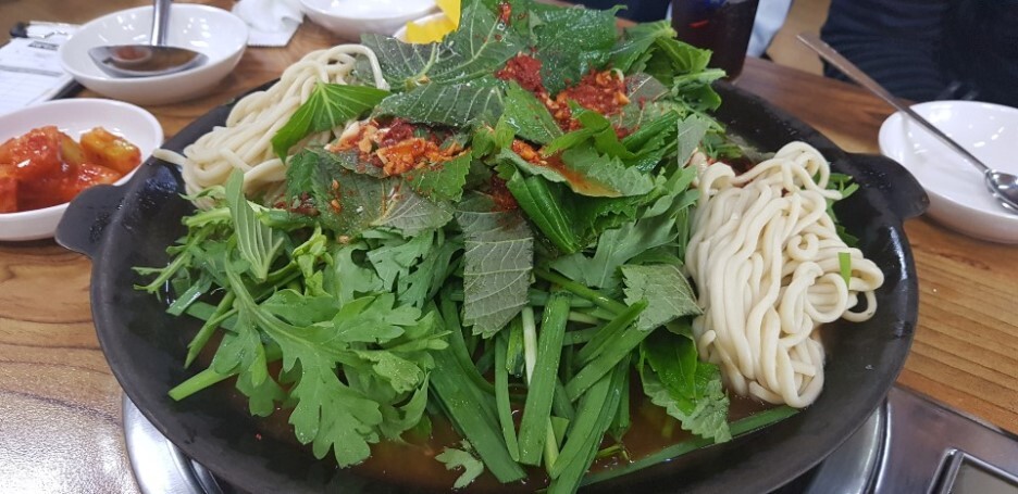  태백 여행 맛집 물닭갈비 강원도별장 동해여행