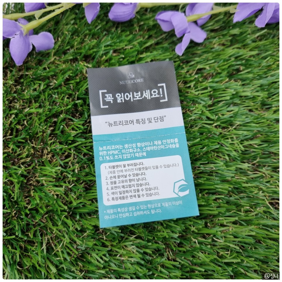 변비없는철분제 17